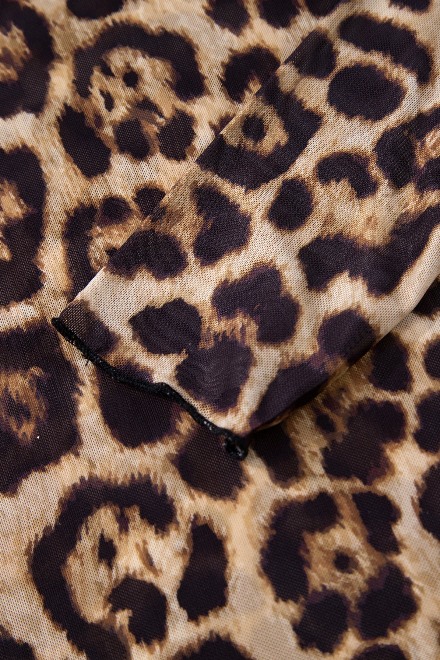 Cheetah Mesh