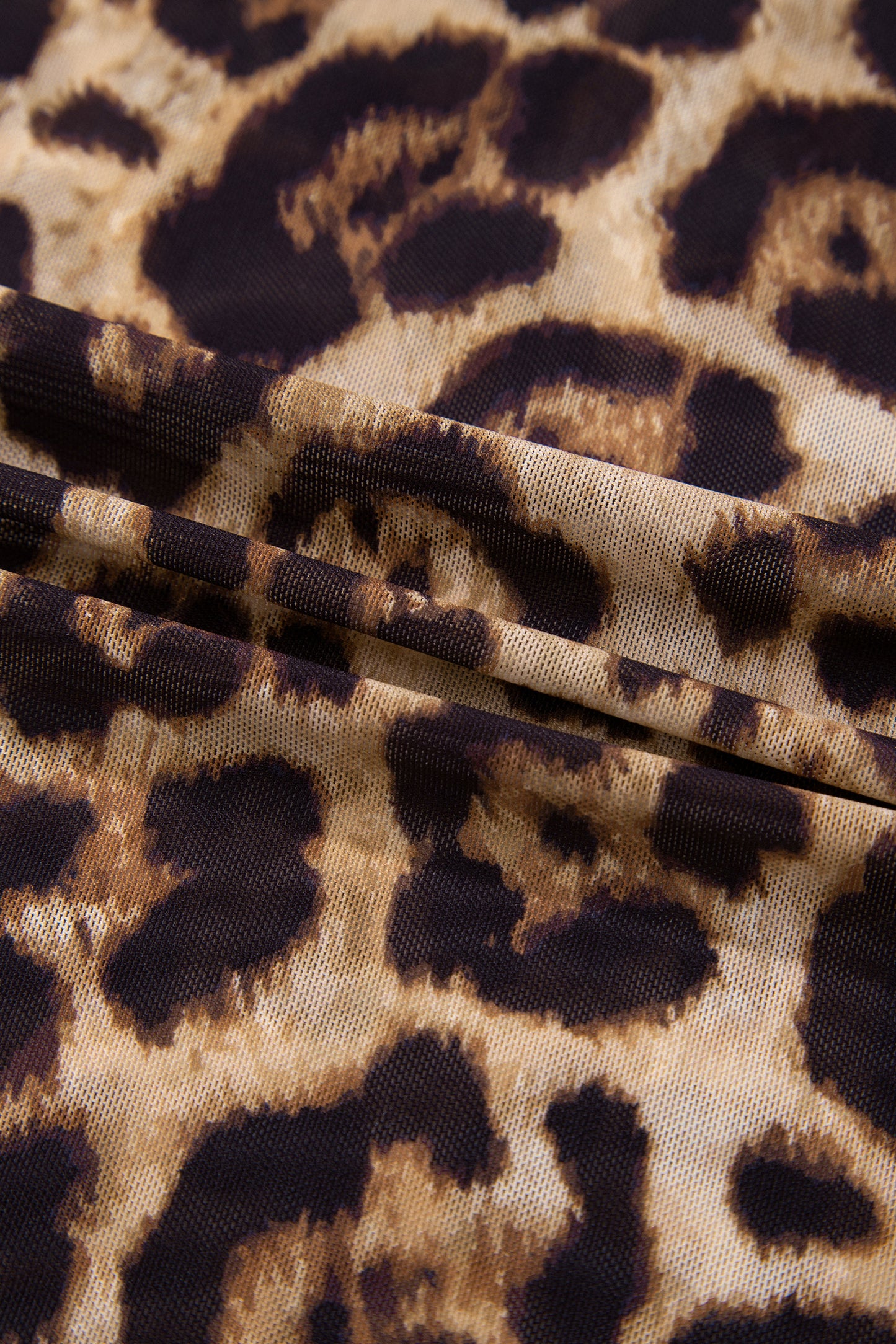 Cheetah Mesh